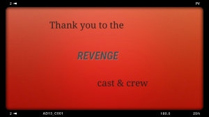 Goodbye Revenge